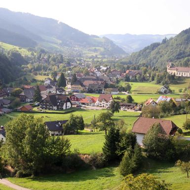 Pension Schlossbergblick Simonswald - Umgebung