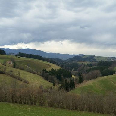 Pension Schlossbergblick Simonswald - Umgebung