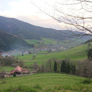 Pension Schlossbergblick Simonswald - Umgebung