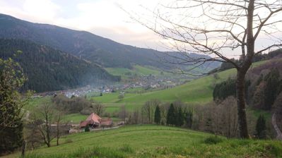 Pension Schlossbergblick Simonswald - Umgebung