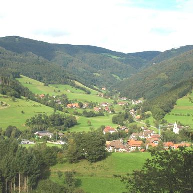 Pension Schlossbergblick Simonswald - Umgebung