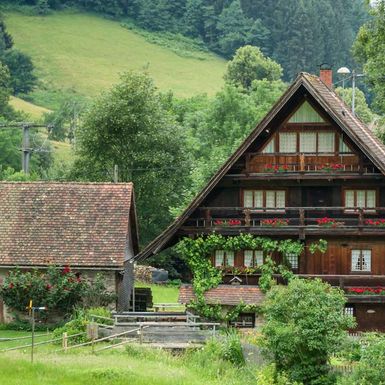 Pension Schlossbergblick Simonswald - Umgebung